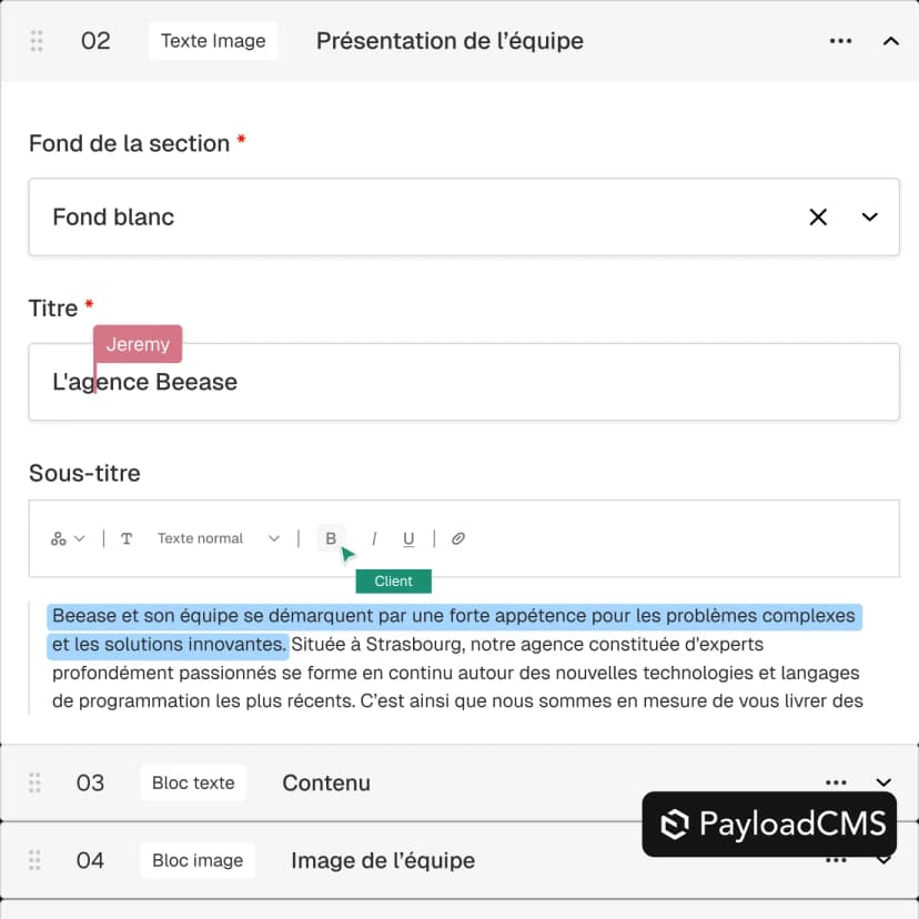 payloadCMS_interface